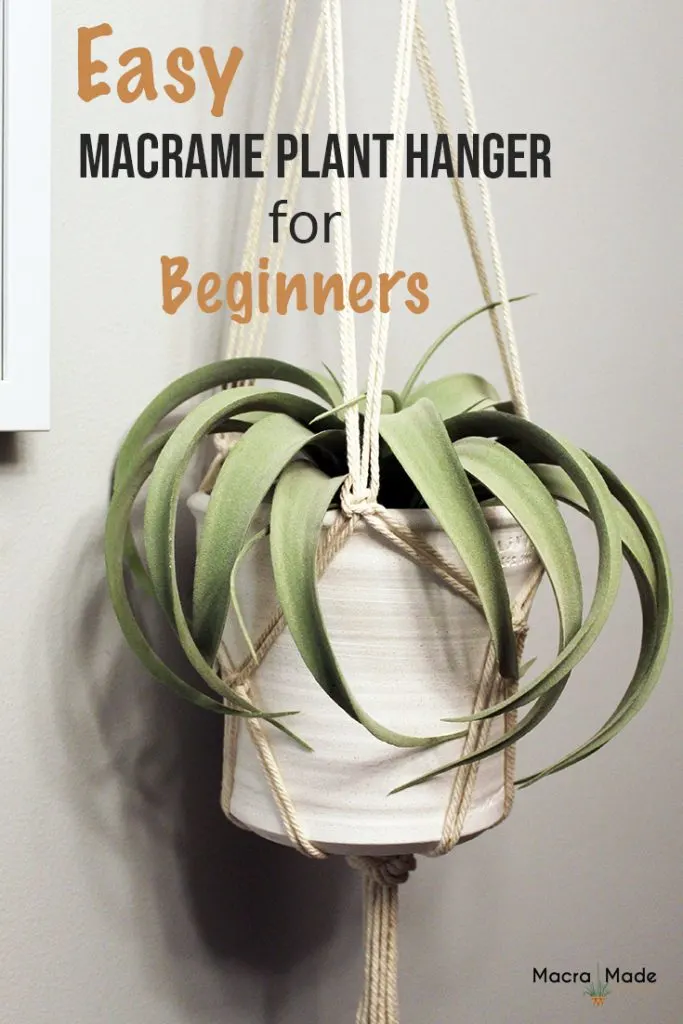 white pot with plant hanging in a macrame plant hanger image to pin to pinterest