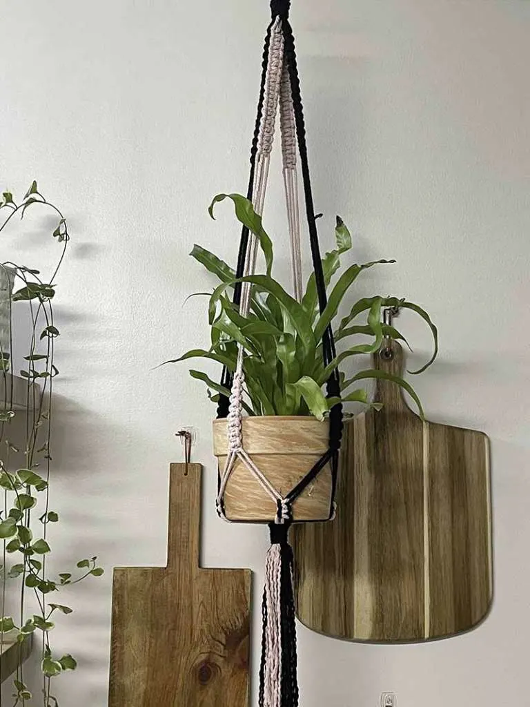 two-toned plant hanger hanging in front of cutting boards
