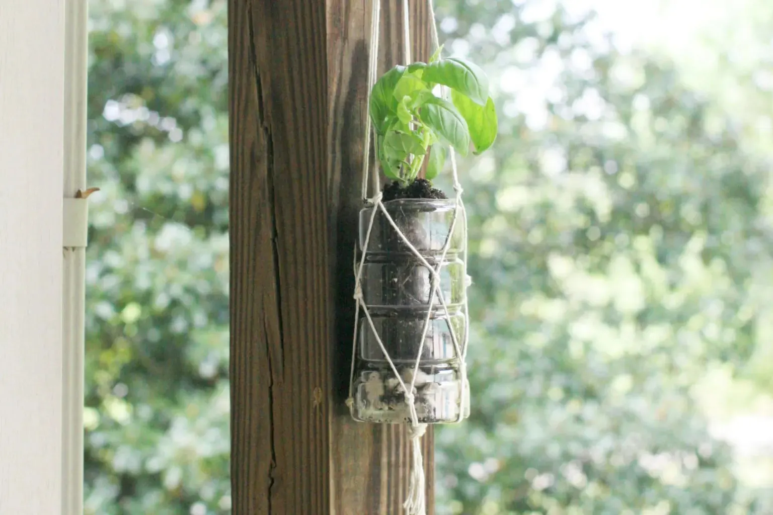 How to Make a Macrame Plant Basket — The Green Mad House