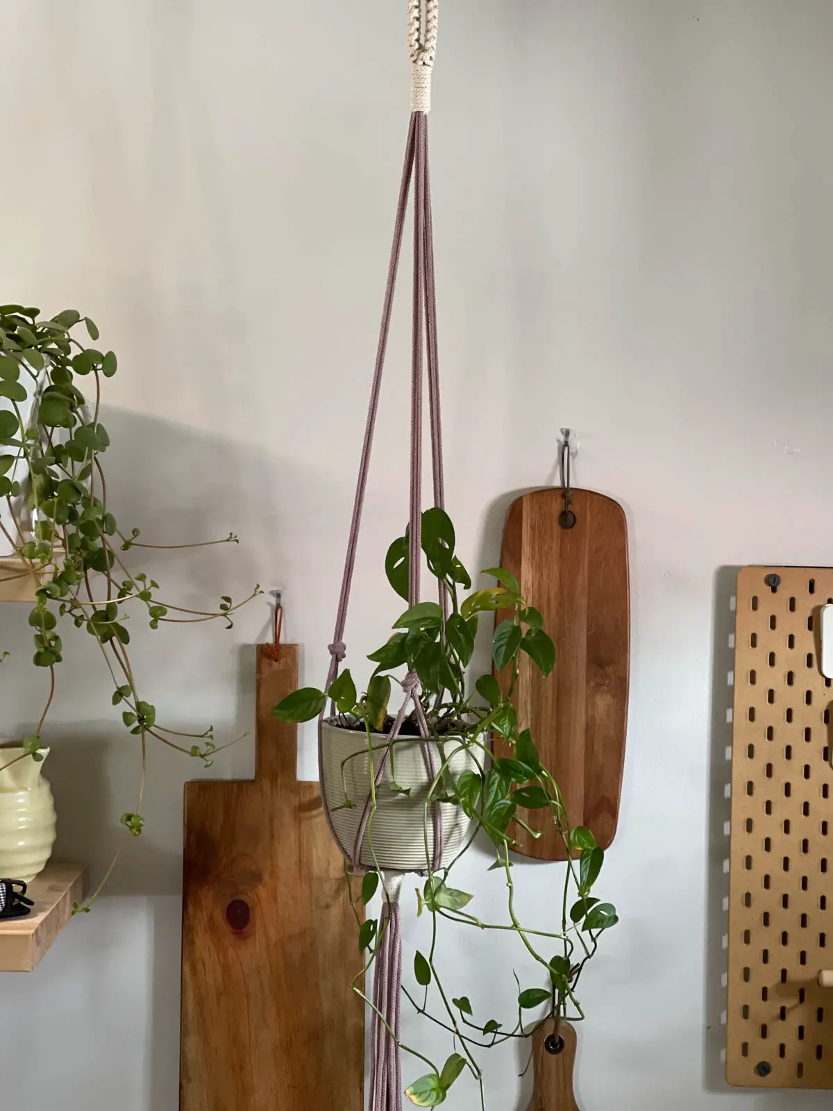 macrame plant hanger with plant made without a ring