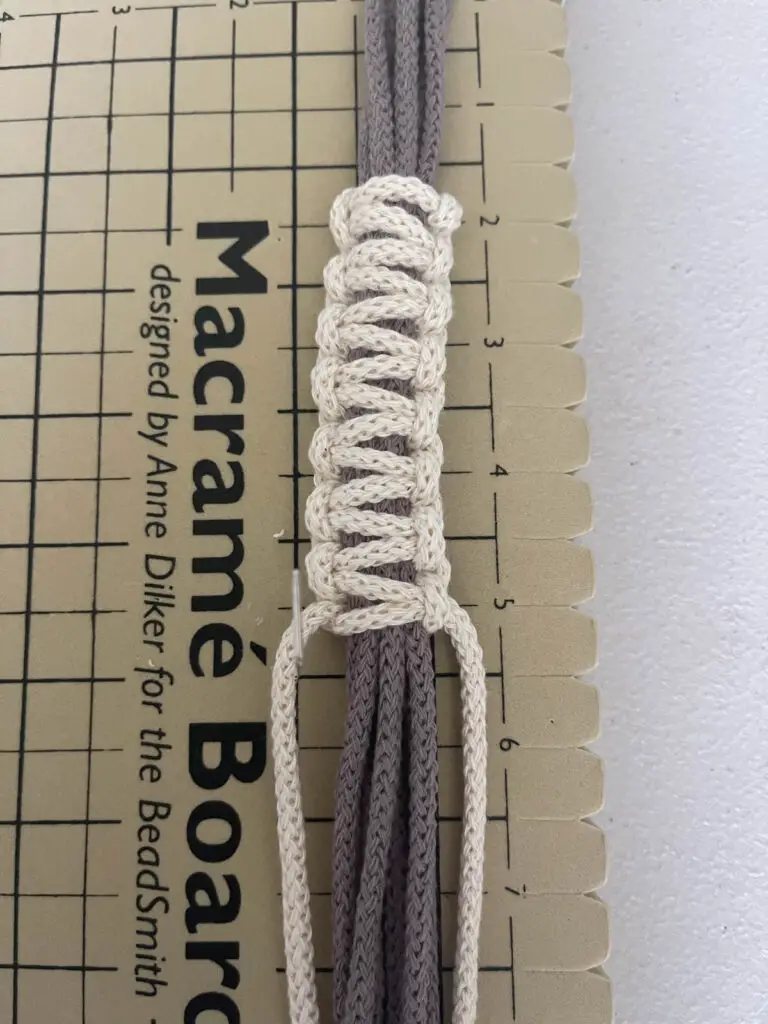 Eight square knots tied around plant hanger strings