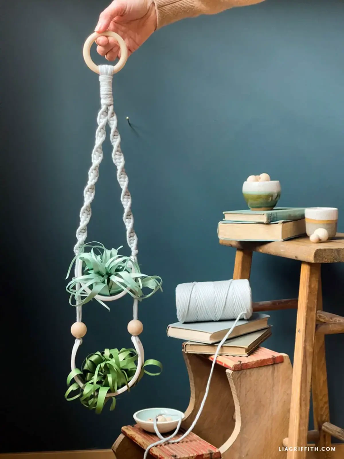 macrame air plant plant hanger with clay "pots"