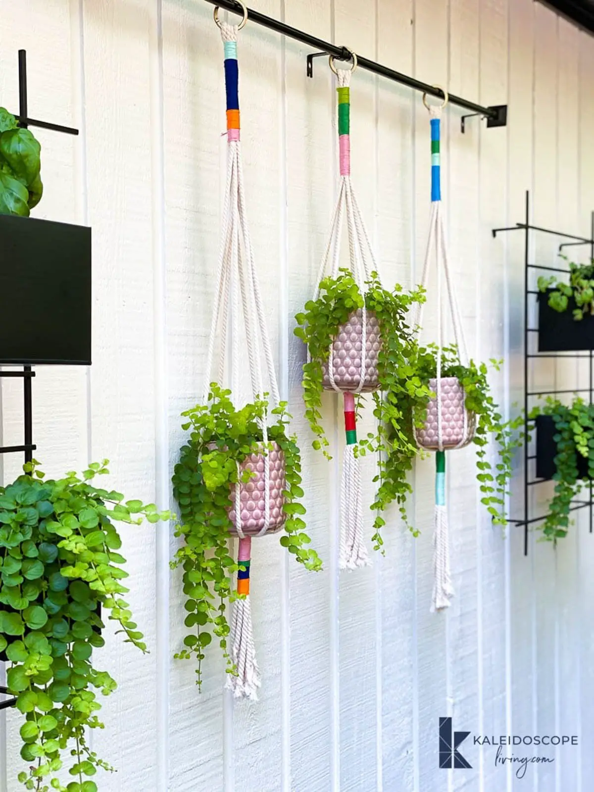 three macrame plant hangers with color blocked top and bottom
